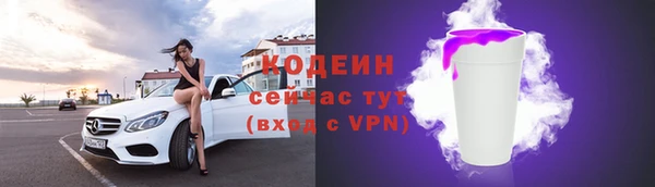 твердый Володарск
