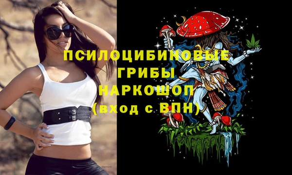 твердый Володарск