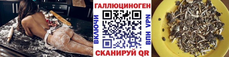 закладки  Миньяр  Галлюциногенные грибы ЛСД 